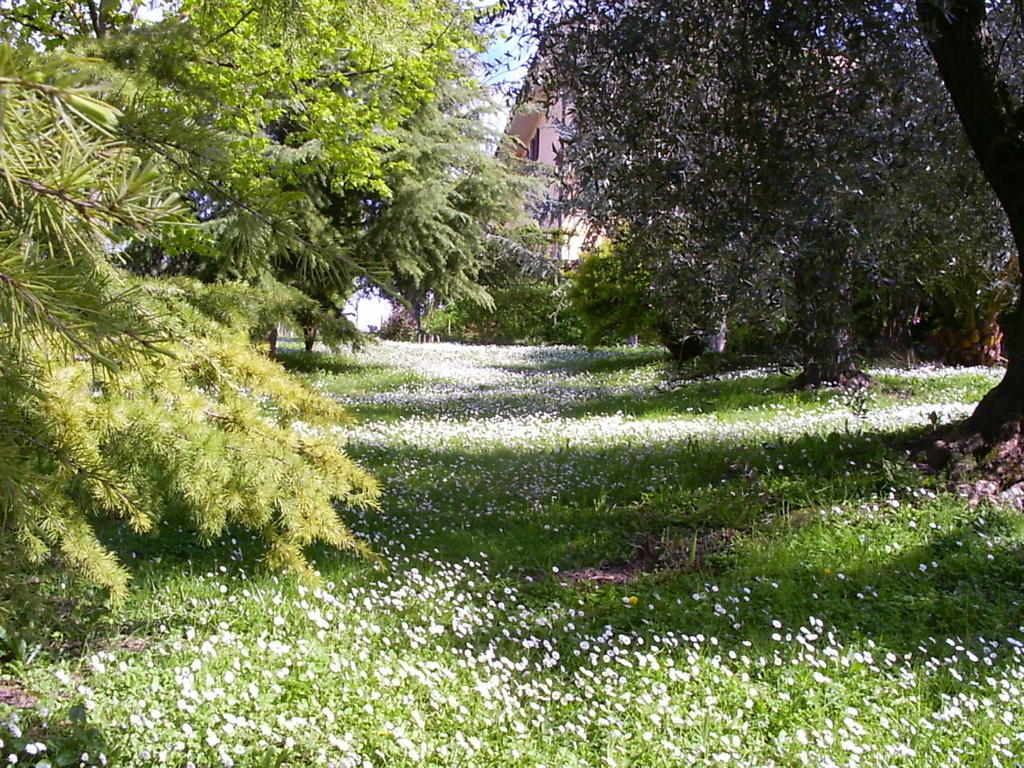 Bed and Breakfast La Vecchia Quercia Selci  Exterior foto